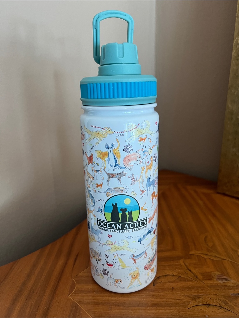 Teal-Accent Small Pets Water Bottle